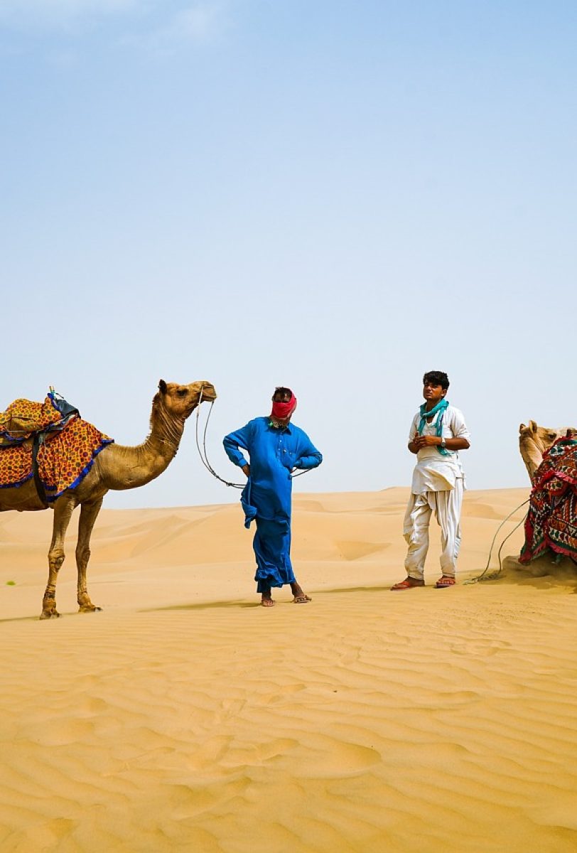 Camel Safari In Desert of Jaisalmer, Rajasthan