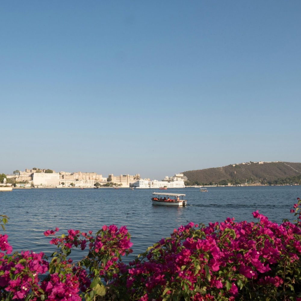 Explore the serene waters of Lake Pichola with Udaipur's City Palace in the background and vibrant bougainvillea flowers.